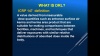 Dr. Abdalla Alhaj, MEFOMP Virtual Conference